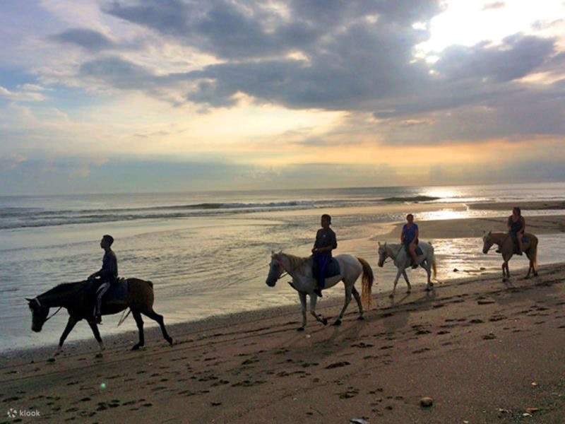 menunggang kuda di pantai