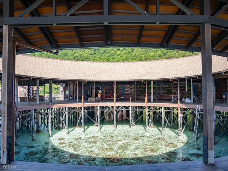 3天2夜或4天3夜 Bohey Dulang Resort 全食宿套餐
