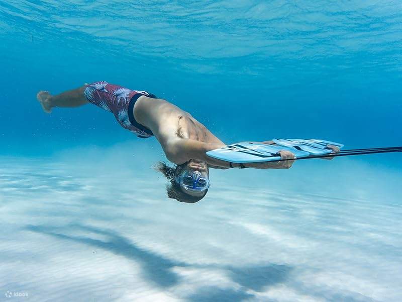 水上スキー＆サブウィング体験（専用送迎付き）－フルガダ