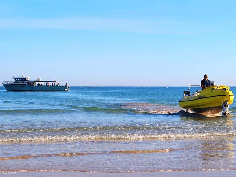 Subfin Croazieră la apus pentru delfini Snubfin din Broome - Klook România