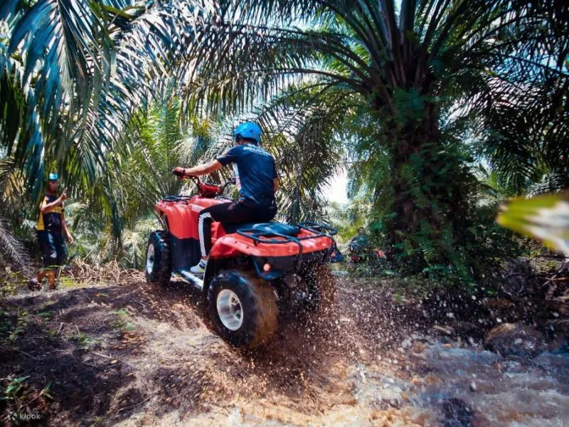 霹雳务边 ATV