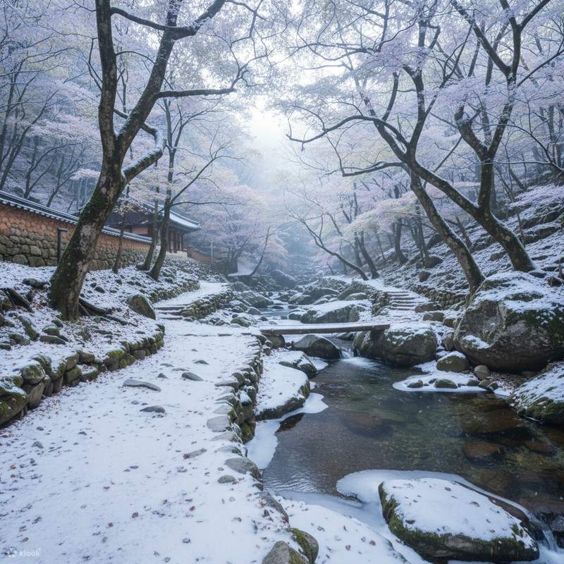 Sancheong, South Korea's Hidden Gem: A 2-Day, 1-Night Package Tour ...