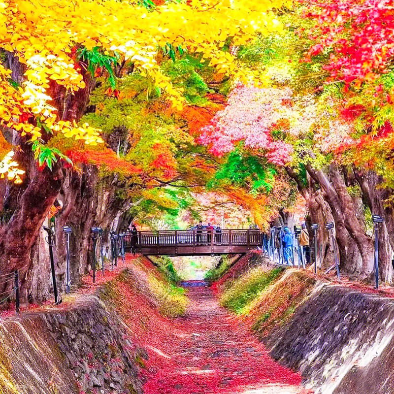 Kawaguchiko and Yamanakako Onsen on a 1-Day Bus Tour from Tokyo - Klook ...