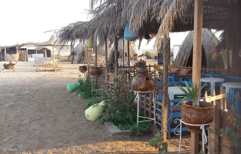 A peaceful retreat offering breathtaking views of the Red Sea coastline.