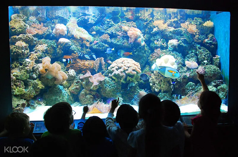 Ocean Adventure Ticket In Subic Bay Klook Philippines
