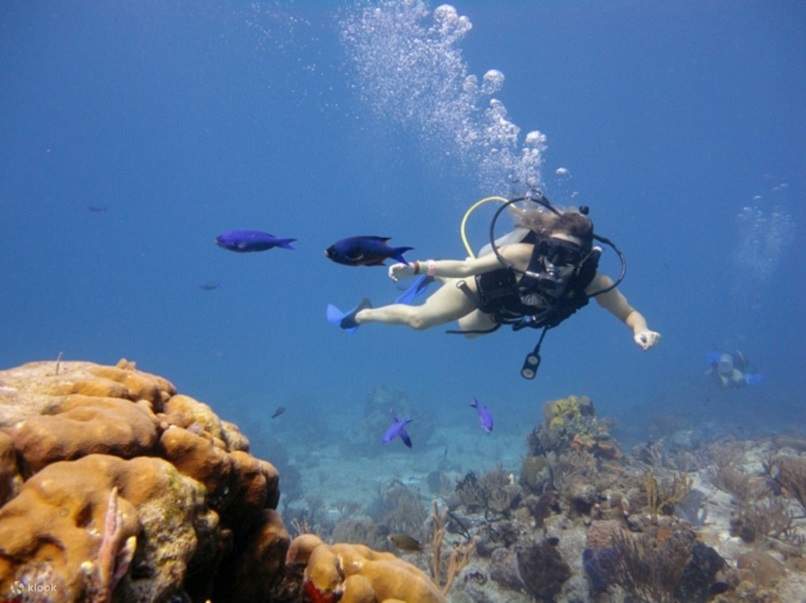 Schnuppertauch-Abenteuer mit Mittagessen & Transfer – Sharm El Sheikh