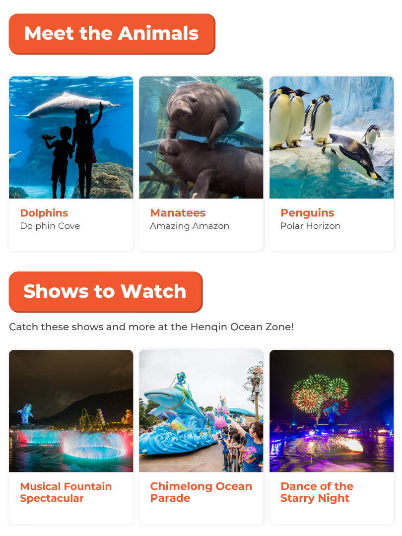 animals and shows in chimelong ocean kingdom park