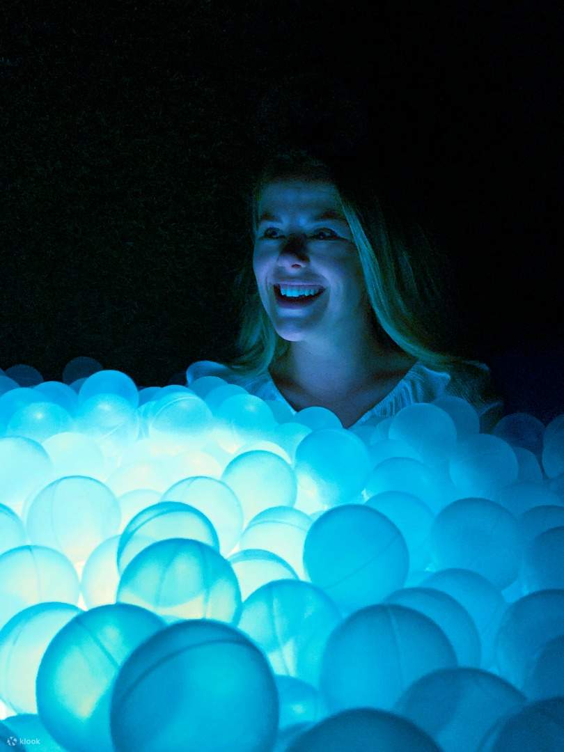 沉浸在全新場景中，如池塘球池