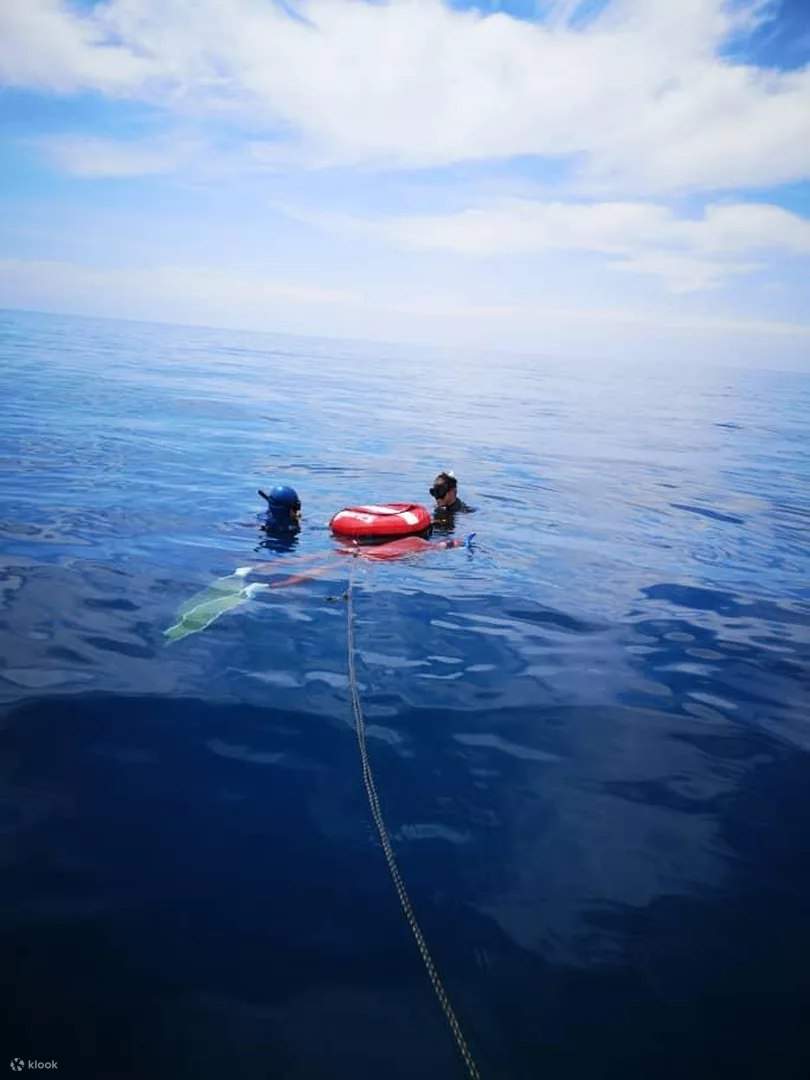 漂浮在平静的水域中，手握安全浮标——自由潜水者在潜水前集中注意力，拥抱当下。