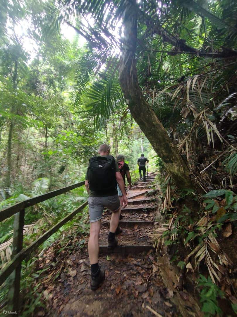 Kinabalu Park & Poring Hot Spring Tagestour in Sabah
