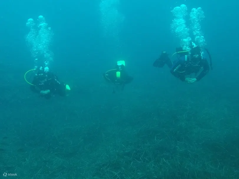 PADI 开放水域潜水员