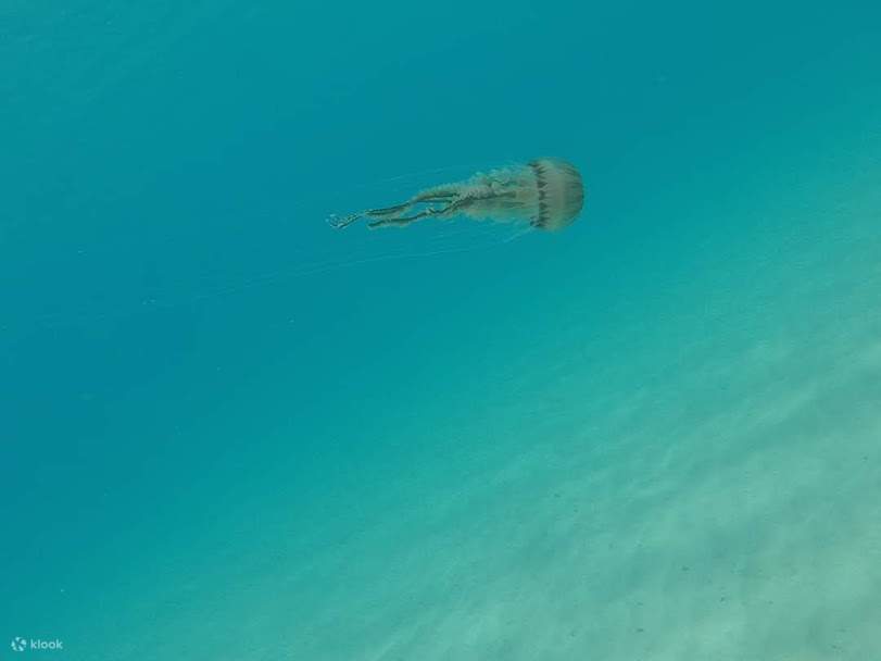 PADI Discover Scuba Diving