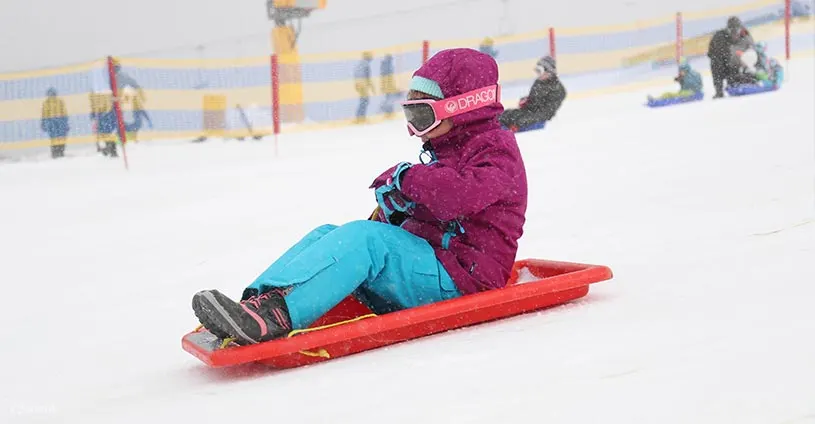 雪梨出发的瑞雪谷雪地之旅