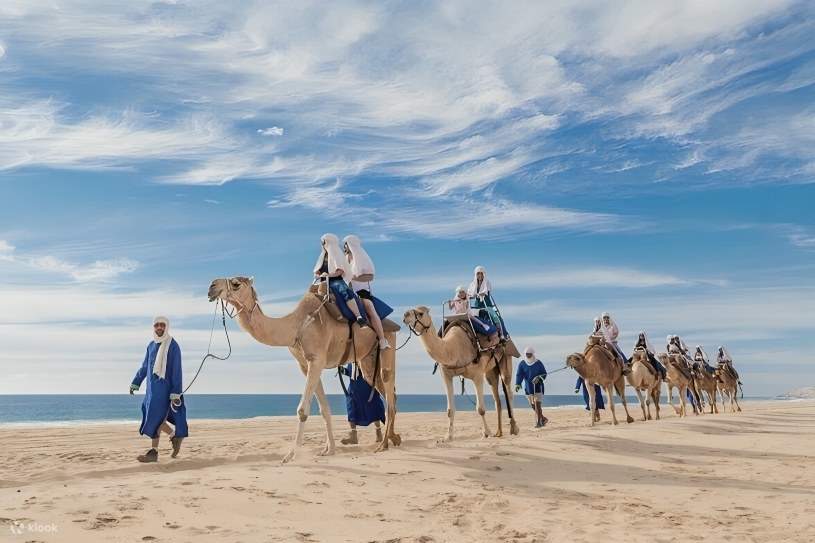 Die Teilnehmer genießen die Ruhe der Wüste, während sie durch die Landschaften von Los Cabos reiten.