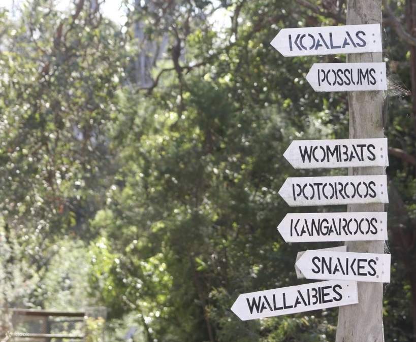 Potoroo Palace Animal Sanctuary