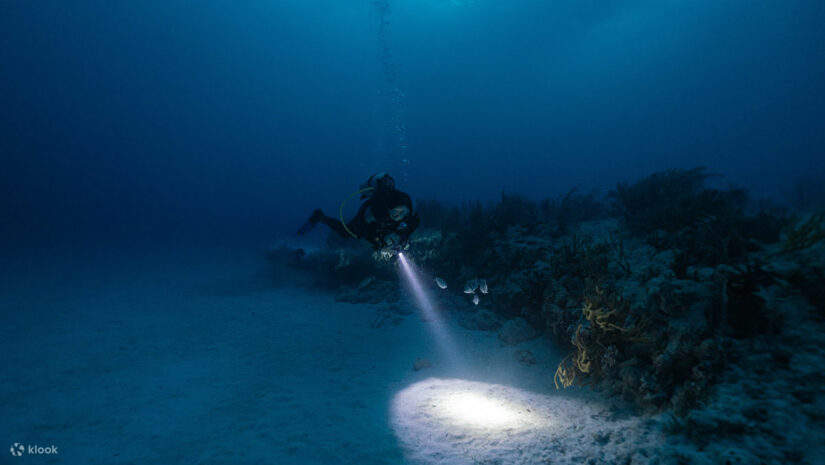 a diver is night diving