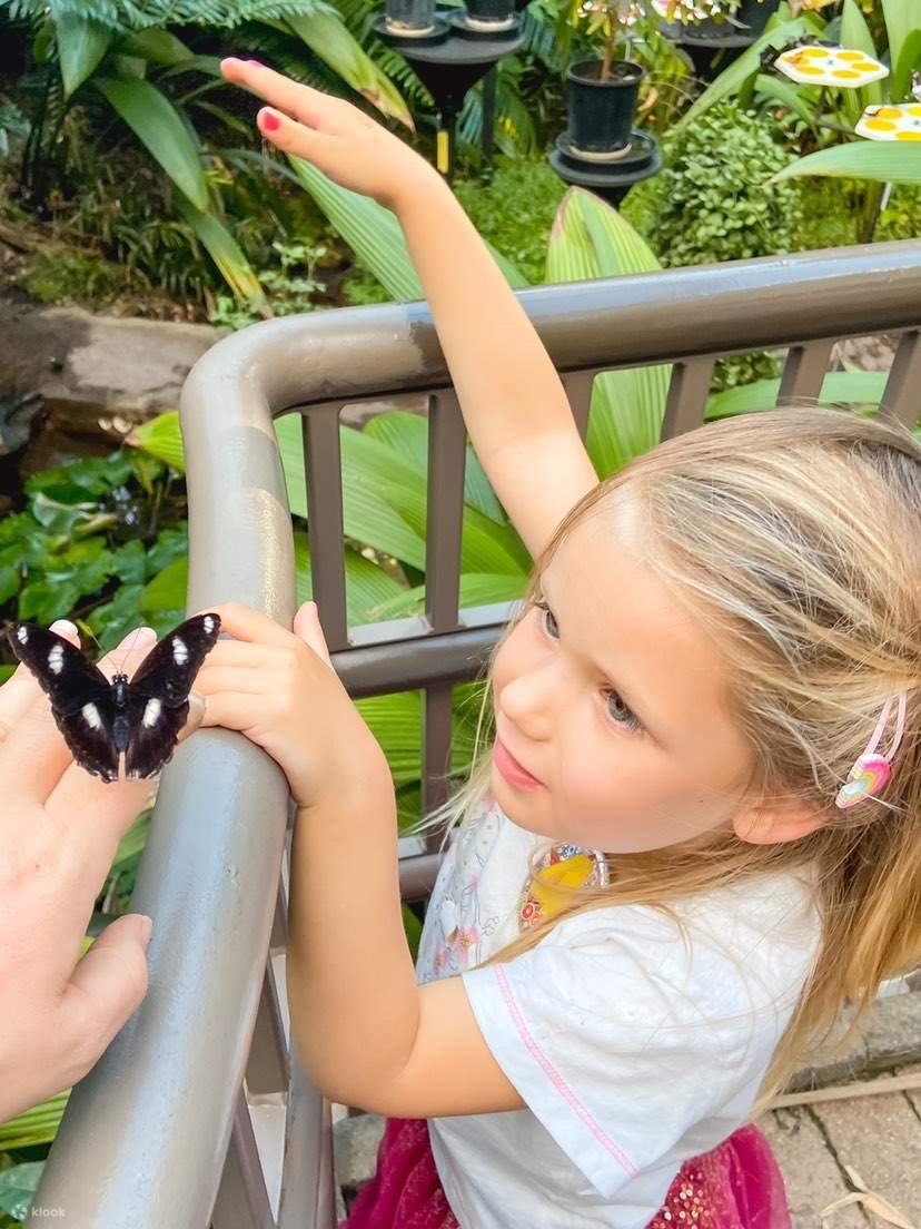 Ảnh Sở thú Melbourne - Nhà Bướm của Sở thú Melbourne có hơn 600 con bướm thuộc khoảng 13 loài nhiệt đới khác nhau