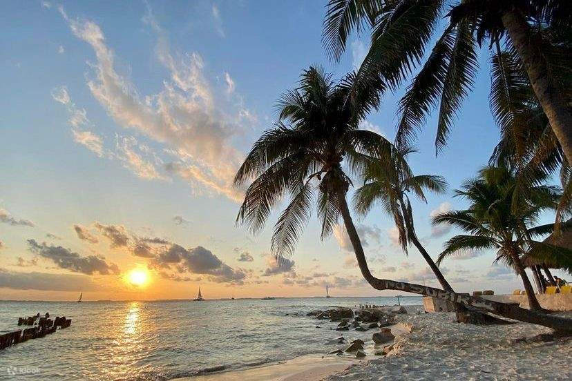 full-day-tour-isla-mujeres-at-cancun-klook-india