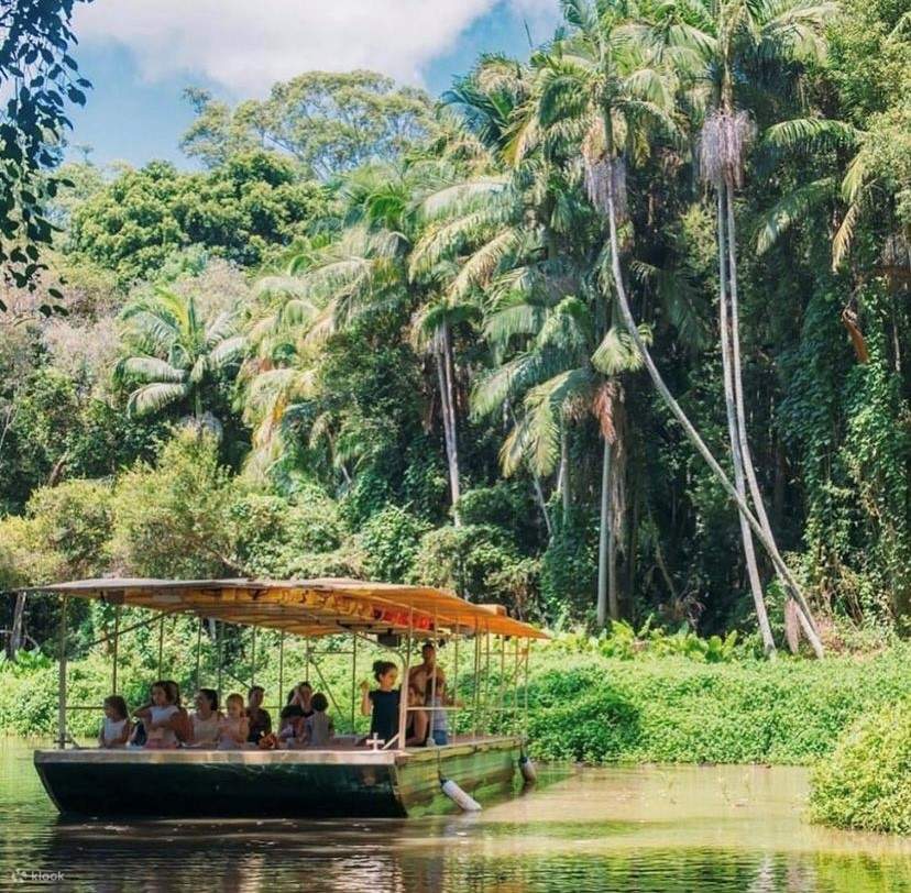 Tropical Fruit World Farm Tour in Byron Bay - Klook, Vereinigte Staaten