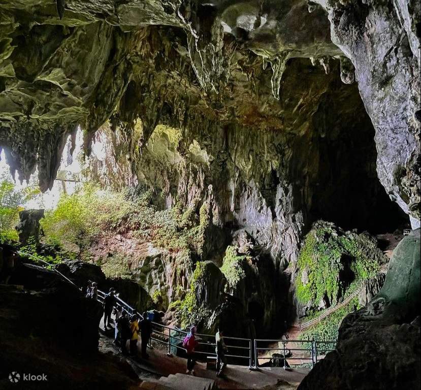 rainforest kayaking adventure in sarawak
