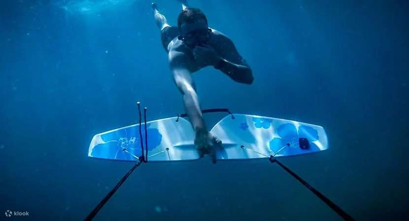 水上スキー＆サブウィングアドベンチャー（専用送迎付き） - フルガダ