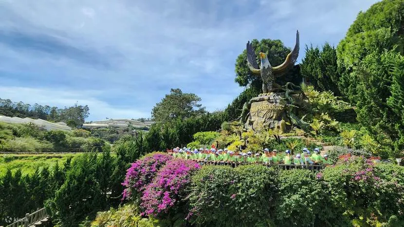 大叻童话乐园和 Vinh Tien 酒窖门票