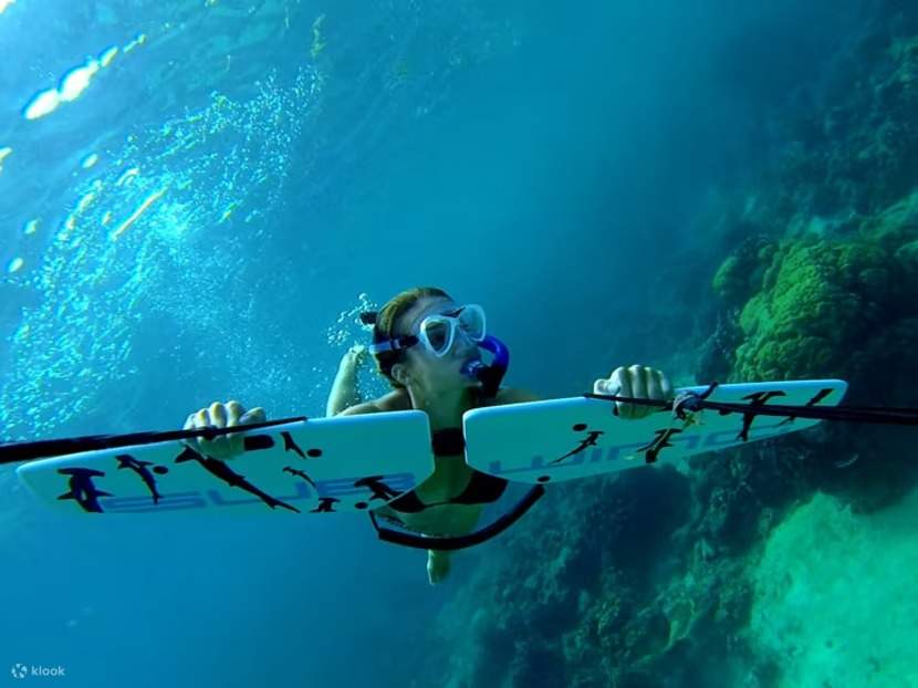 Water Ski and Sub Wing Adventure with Private Transfer - Hurghada