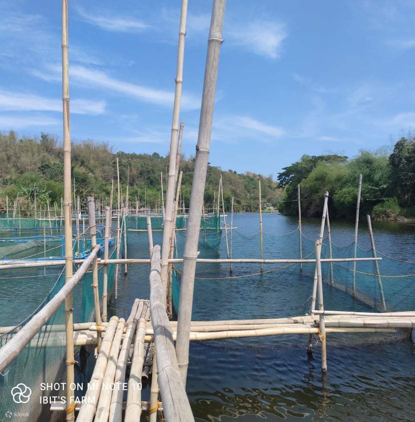 Aqua Farm Tour di La Union Klook Indonesia