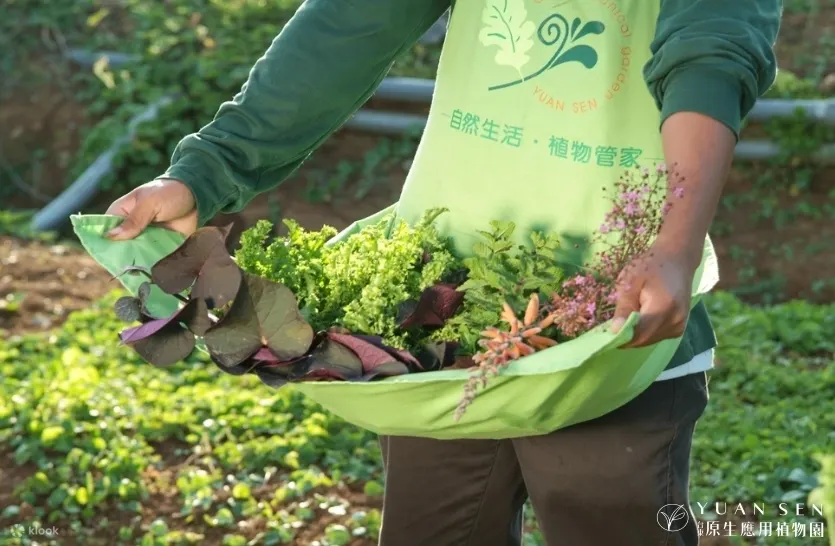 台东原生应用植物园园
