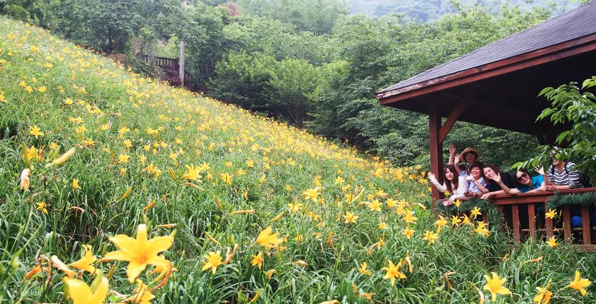 沐心泉休闲农场：门票・半日游