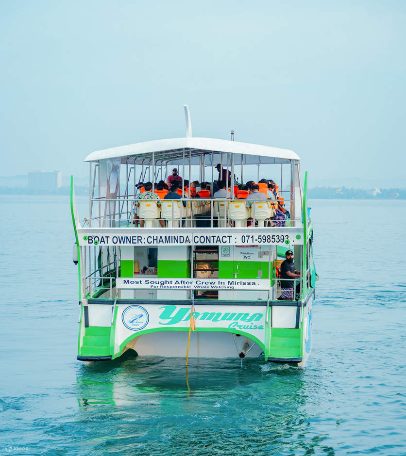 Walbeobachtung Mirissa mit Chaminda mit Frühstück & Abholung