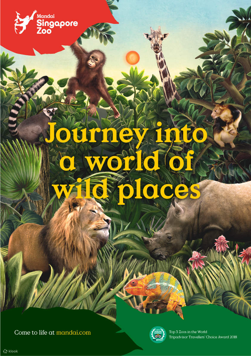 Singapore Zoo Ticket mit Straßenbahnfahrt