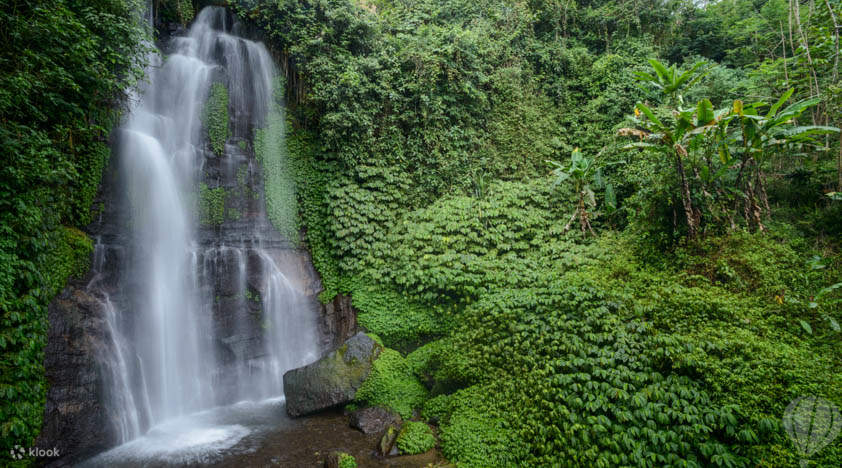Private Sightseeing Charter Trip for Bali, Indonesia - Klook