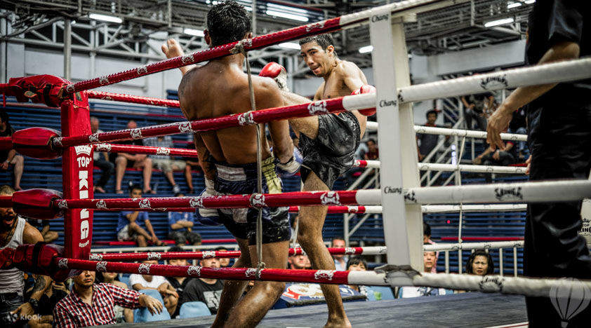 tinju muay thai