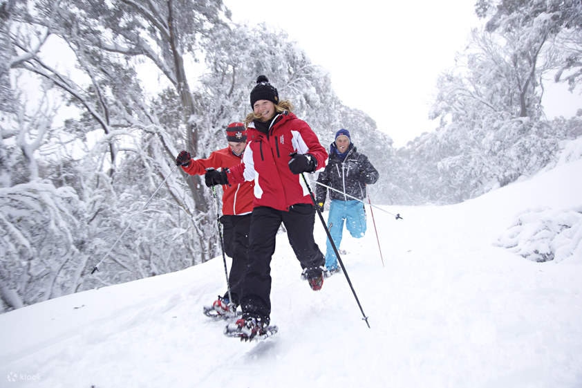 Mt Buller Snow Trip from Melbourne Klook