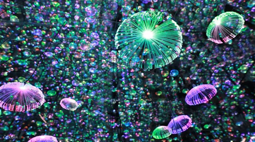 水母是海洋世界非常漂亮的浮游生物，现在可以去触摸这个幻想中的海