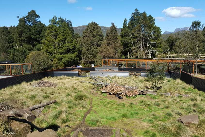 Day Keeper Tour and Entry to Wildlife Park - Klook