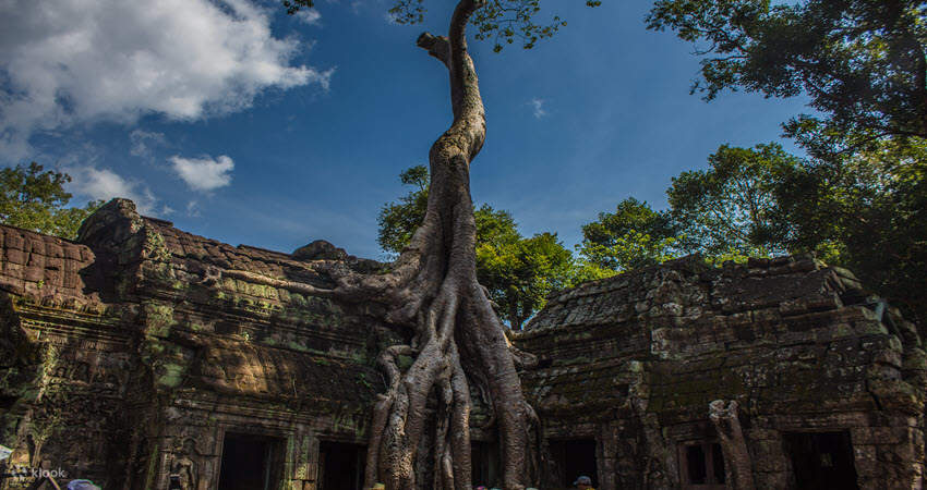 Explorarea Complexului Angkor, tur de o zi întreagă - Klook România