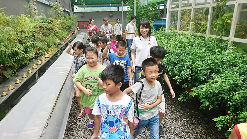 来到水凝胶公仔花园，结合鱼菜共生及点滴灌溉系统，更了解环保爱地球的秘密
