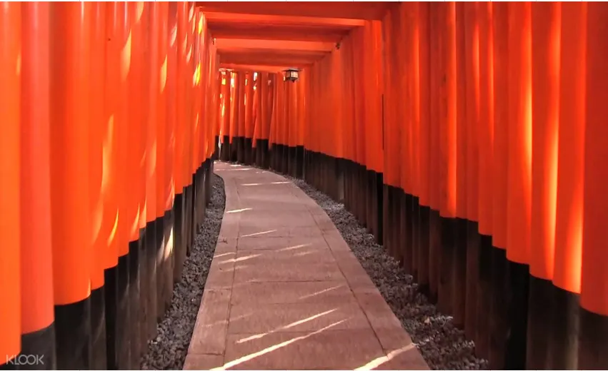 大阪、京都、奈良一日遊