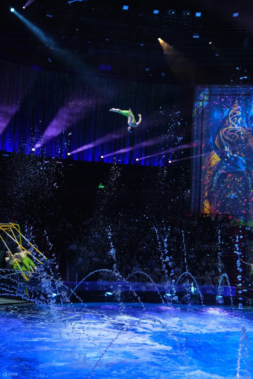 House of Dancing Water Ticket