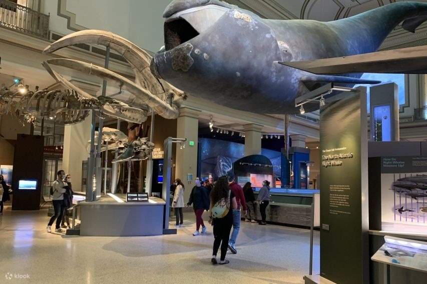 SMITHSONIAN MUSEUM OF NATURAL HISTORY TIMED ENTRY visual data 5