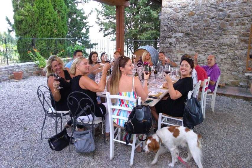 Esperienza di degustazione di vini al tramonto nel Chianti con partenza da Firenze