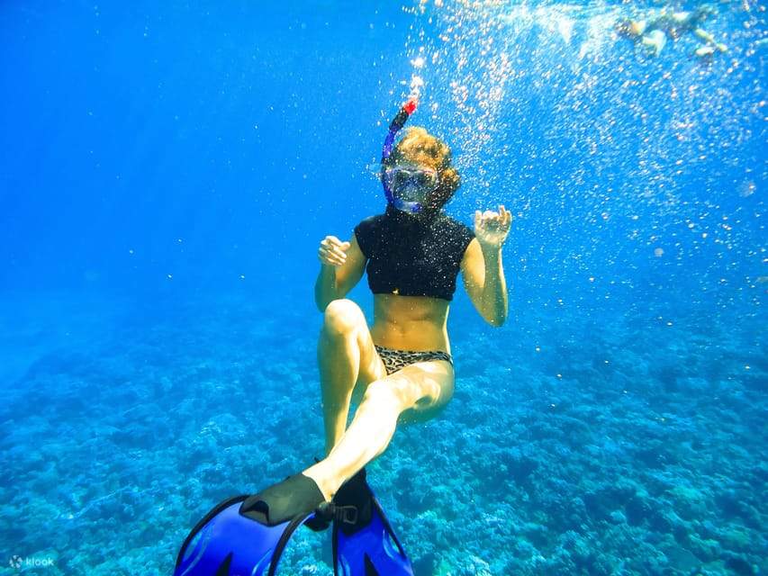 Molokini Crater and Turtle Arches Snorkel Tour in Maui Klook New Zealand