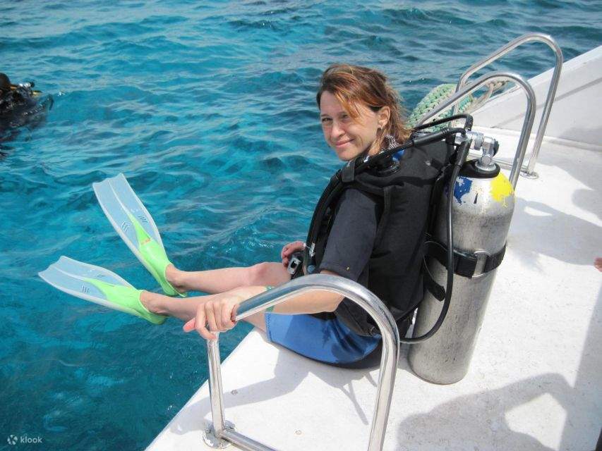 Sharm El Sheikh: Tour en crucero a la isla de Tirán con inmersión introductoria y almuerzo