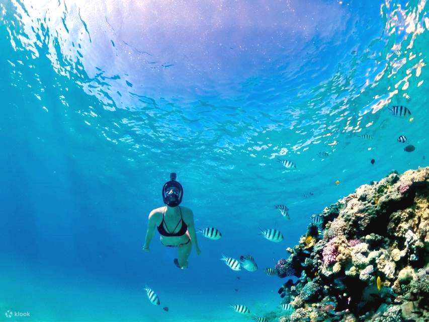 Desde Sharm: Puerta de Allah, Grieta del Terremoto y Tour de Manglares