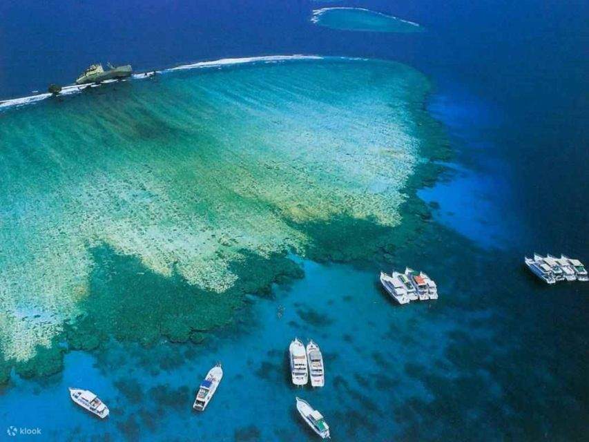 Croisière en Bateau de Plongée à Sharm Île de Tiran avec Transferts Privés