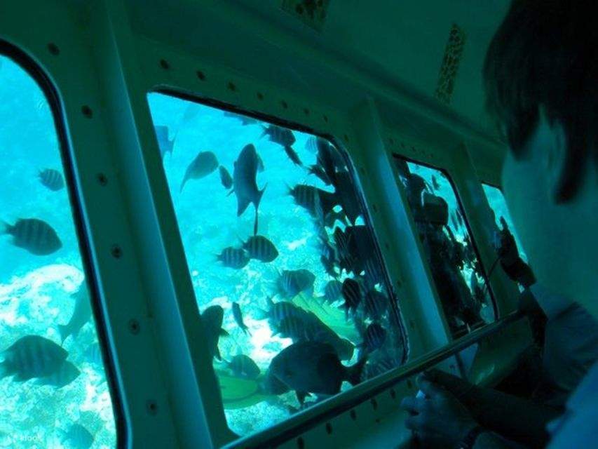 Red Sea: Semi-Submarine Boat Trip dengan Snorkeling