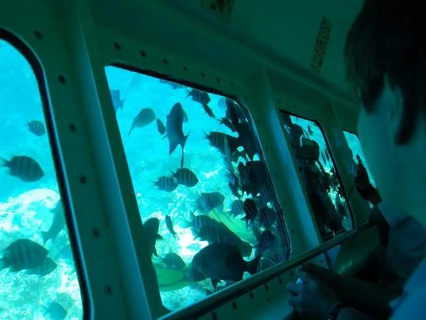 红海：半潜艇浮潜之旅