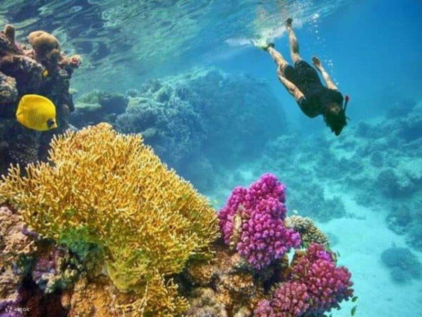 Mar Rosso: Isola di Orange Bay e crociera con snorkeling e pranzo
